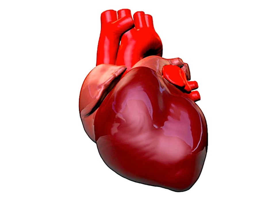 3 Heart Health Myths Debunked