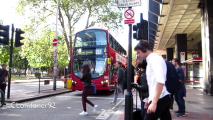 Buses at London Euston railway station September 2016