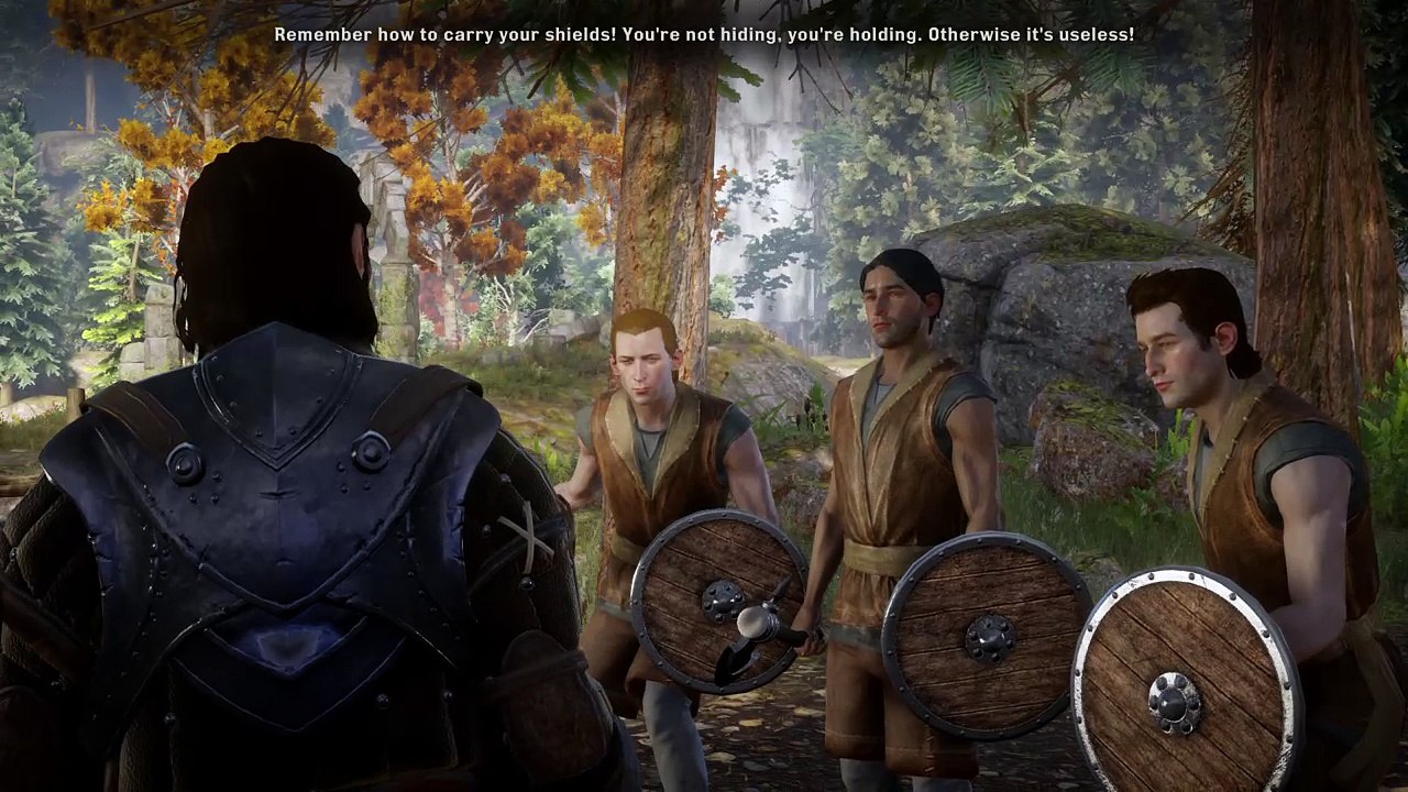 Finding a Warden | Dragon Age : Inquisition