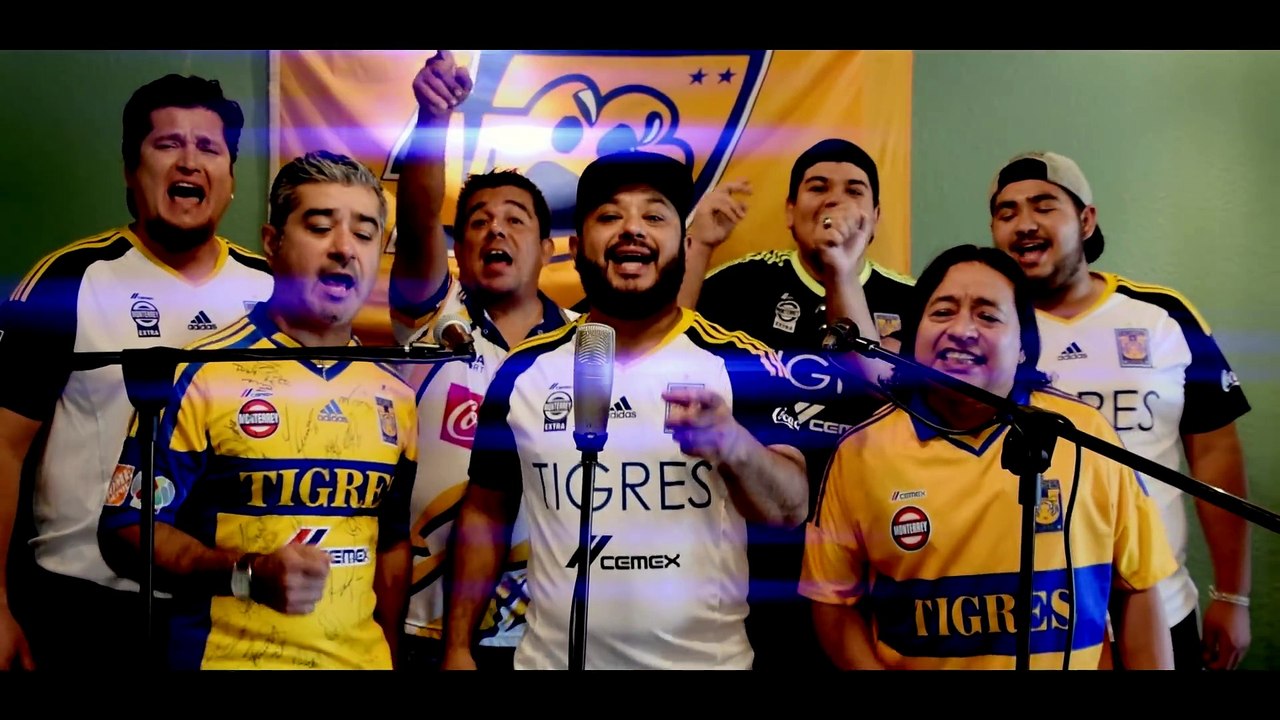 "Dale Tigres, Dale Tigres" - Para Cantarla En El Universitario