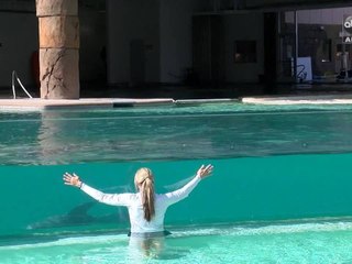 Behind the scenes: Dolphinaris training session - ABC15 Digital