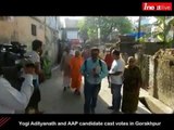 Elections 2014: Yogi Adityanath and AAP candidate cast votes in Gorakhpur