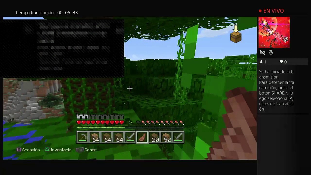 Minecraft (4)