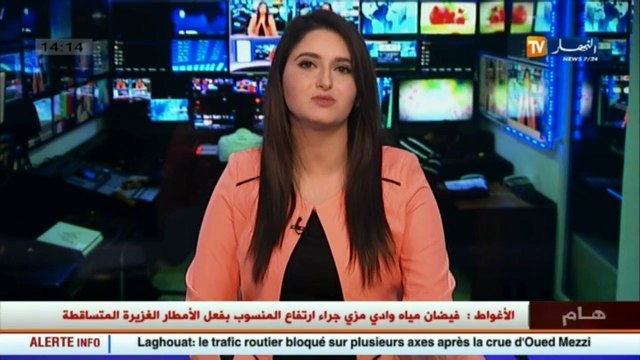 دبلوماسي تونسي وجود قواعد عسكرية أمريكية في إفريقيا يهدد الإستقرار في المنطقة