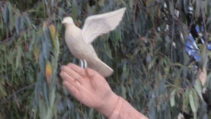 El "sí" al plebiscito saca de las aulas a cientos de estudiantes colombianos