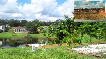 DJI phantom 3 standard real time flying with video and sound