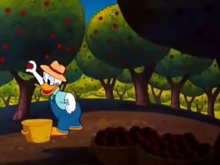 Donald Duck, Chip N Dale Donald Applecore-CmMhhHCI_78