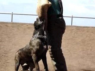 Mordant avec Anya de Irema Curto