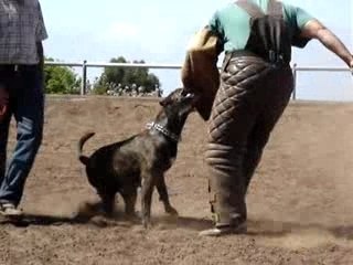 Mordant avec Anya de Irema Curto 2