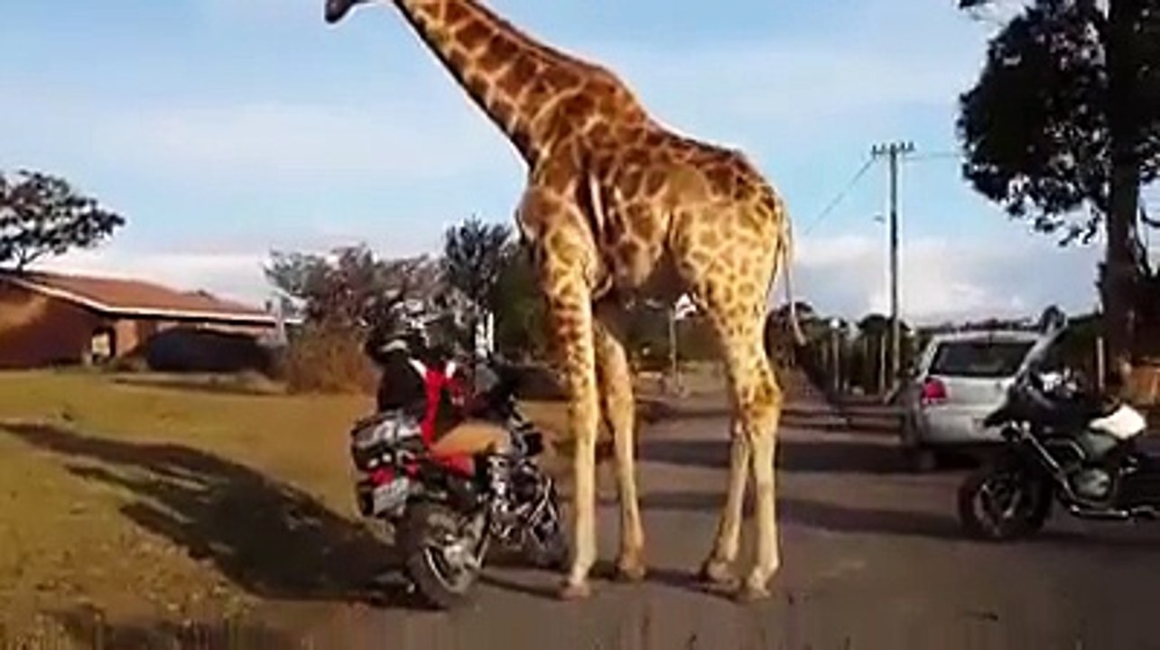 Excuse me sir, but you're standing a little too close for comfort...  (santa-banta-group)