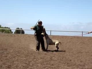 Mordant avec Nyclas de Irema Curto