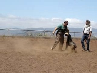 Mordant avec Polo de Irema Curto