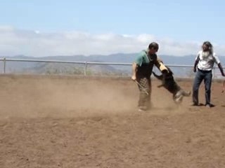 Mordant avec Polo de Irema Curto 2