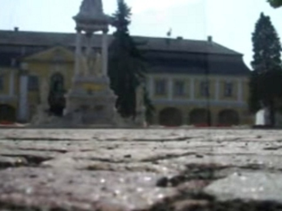 Hungary 08/007