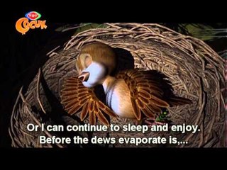 YURT DIŞI - THE SPARROW (SERÇE KUŞ)