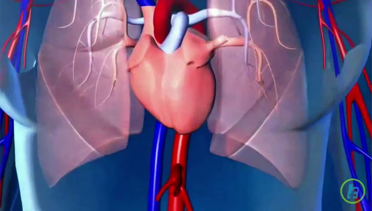 What is Valvular
