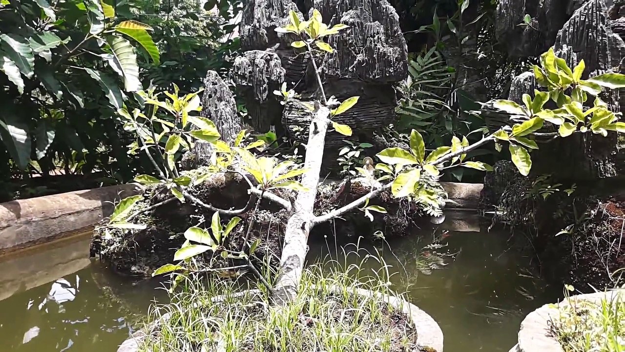 00:0008:27      ᴴᴰ Best Cartoon For Kids 2016 ☆♥ Donald Duck How to Have an Accident At Work