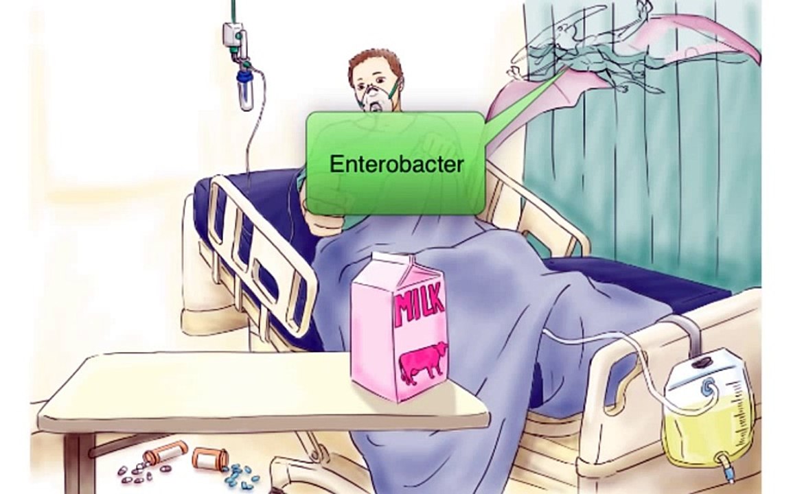 Klebsiella, Enterobacter, Serratia