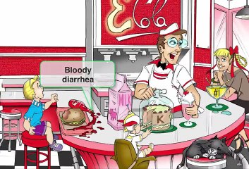 Escherichia coli ETEC, EHEC