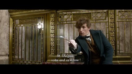 Les Animaux Fantastiques - Bande Annonce Finale (VOST)