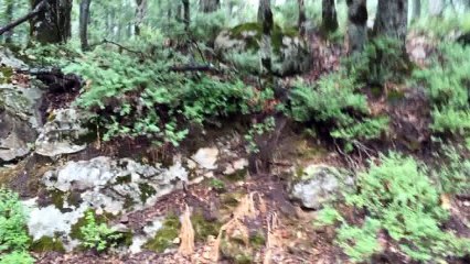 AKFADOU  film lac noir 2016