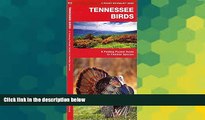 Big Deals  Tennessee Birds: A Folding Pocket Guide to Familiar Species (Pocket Naturalist Guide