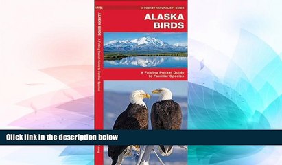 Big Deals  Alaska Birds: A Folding Pocket Guide to Familiar Species (Pocket Naturalist Guide