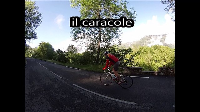 pyrenees-2016