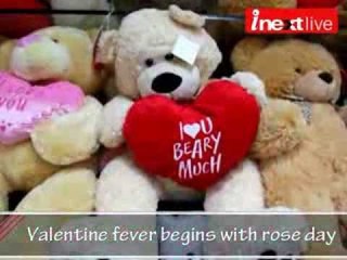 Valentine fever begins with rose day