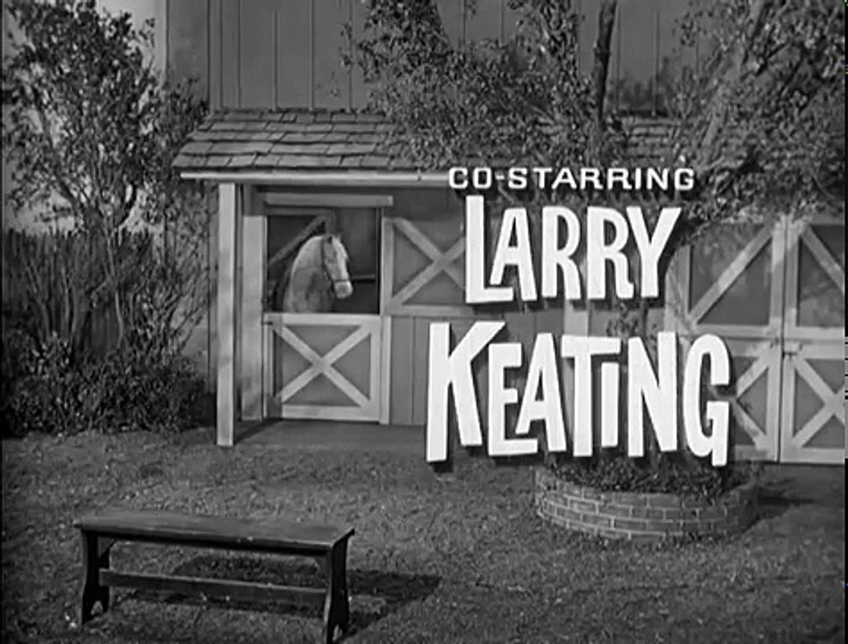 Mister Ed S2 | Ed The Jumper