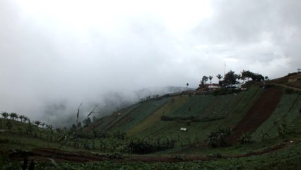 chasing fog at hill moko bandung