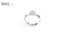 Jewellery - Silver ring 925 - zirconic flower, protuberant line