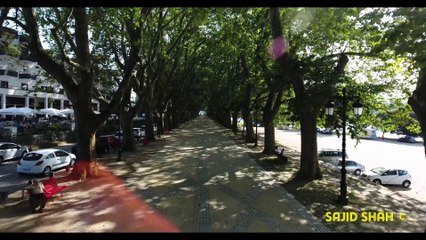 Ponte de Lima - Avenida Dos Plátanos - 4K