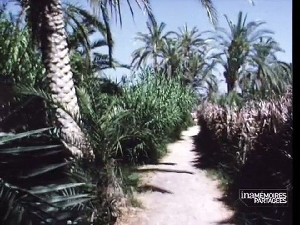 Tourisme en Tunisie _ oasis_gabes