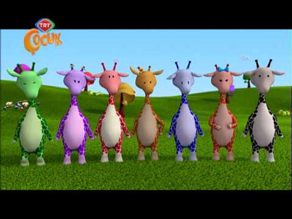 PEPEE - ZULU'NUN DOĞUMGÜNÜ HALAYI