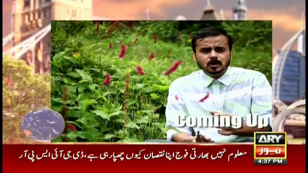 Jahan Bean 1st October 2016