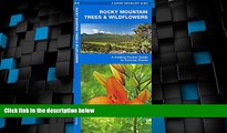Big Deals  Rocky Mountain Trees   Wildflowers: A Folding Pocket Guide to Familiar Species (Pocket