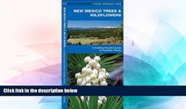 Big Deals  New Mexico Trees   Wildflowers: A Folding Pocket Guide to Familiar Species (Pocket