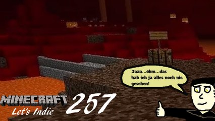 Minecraft Let's Indie 257: "Hier war ich noch nie!"