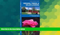 Big Deals  Indiana Trees   Wildflowers: A Folding Pocket Guide to Familiar Species (Pocket