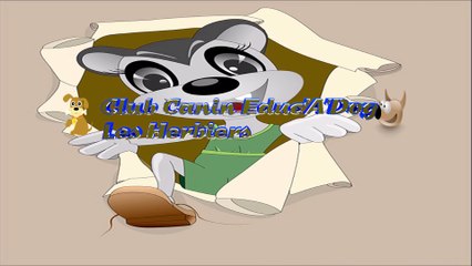 cours club canin les herbiers