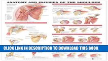 [PDF] Anatomy and Injuries of the Shoulder Anatomical Chart Popular Online