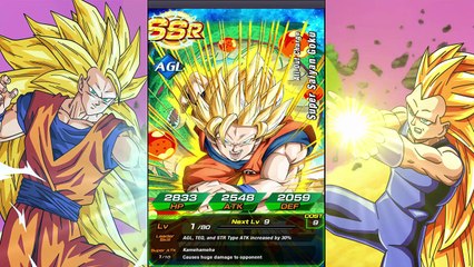 Dragon Ball Dokkan Battle: SSR! BYE GUYS!