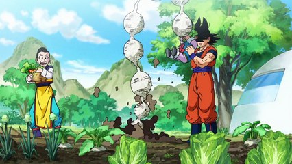 Dragon Ball Super - Abertura de Portugal Versão 2 HD