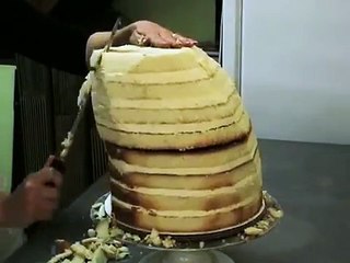 Make A Sculpted Dog Cake Video Dailymotion