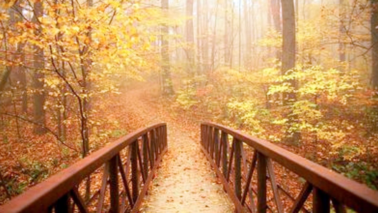 Fanfic Amor Doce - Caminhos - Capitulo 2 - Parte 1