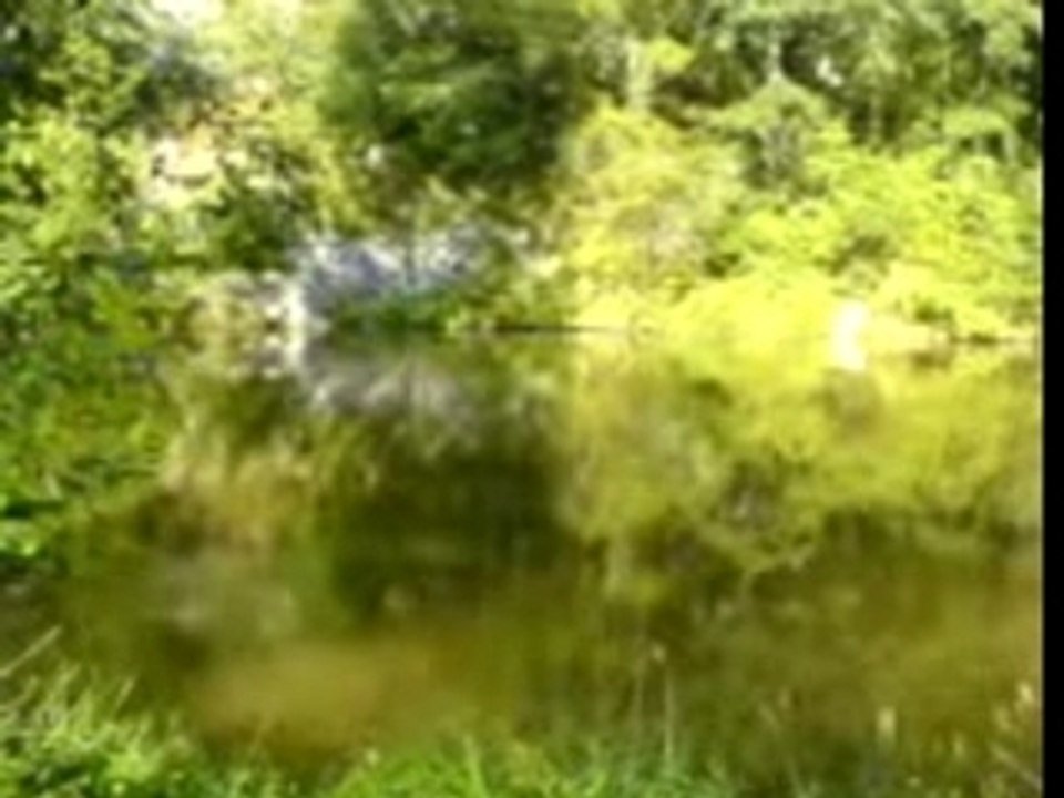 Lac