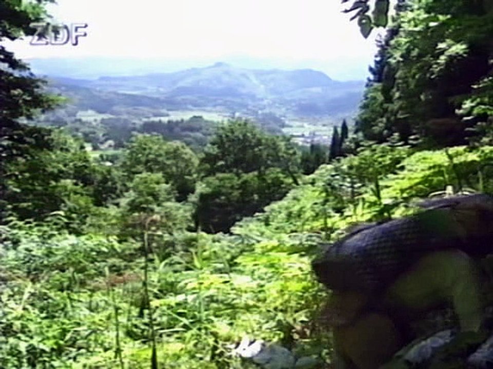 Das Schloss der vergessenen Mumien